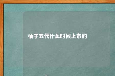 柚子五代什么时候上市的