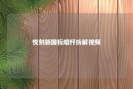 悦刻新国标烟杆拆解视频