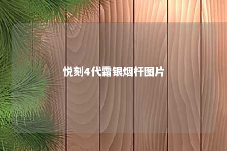 悦刻4代霜银烟杆图片